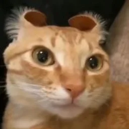 Quanzi-San
