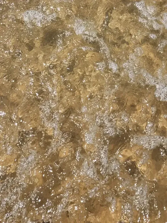 친애하는 당신과