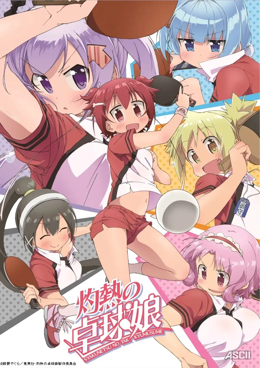 「灼熱の卓球娘」表紙