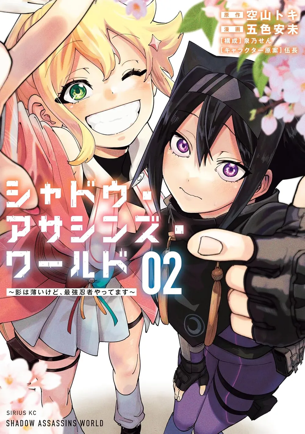 Cover of Shadow Assassins World (2)