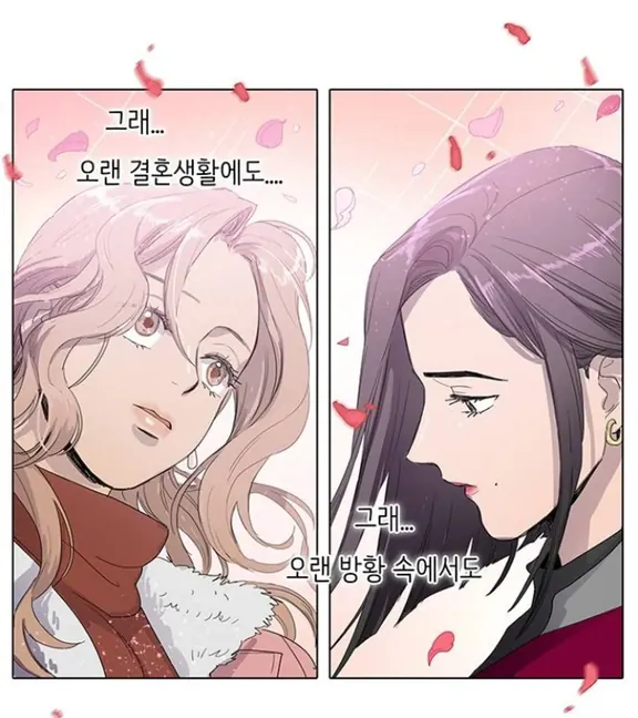 2017サイダーをお願い！