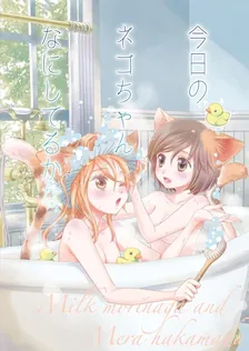 今日のネコちゃんなにしてるかな