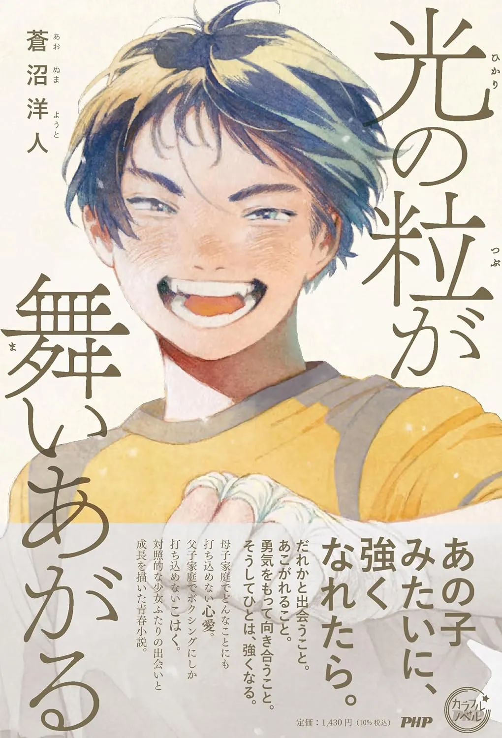 「光の粒が舞いあがる」表紙