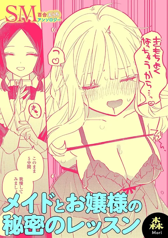 メイドとお嬢様の秘密のレッスン