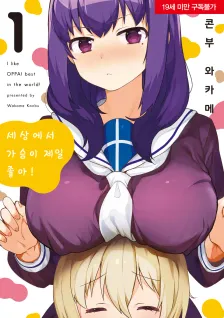 세상에서 가슴이 제일 좋아! (3) 1권 표지