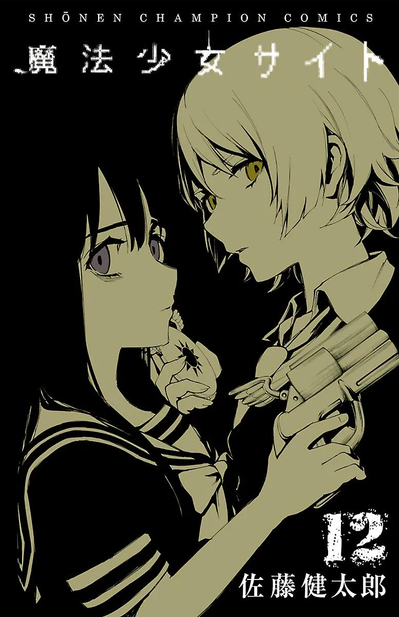 「魔法少女サイト (12)」表紙