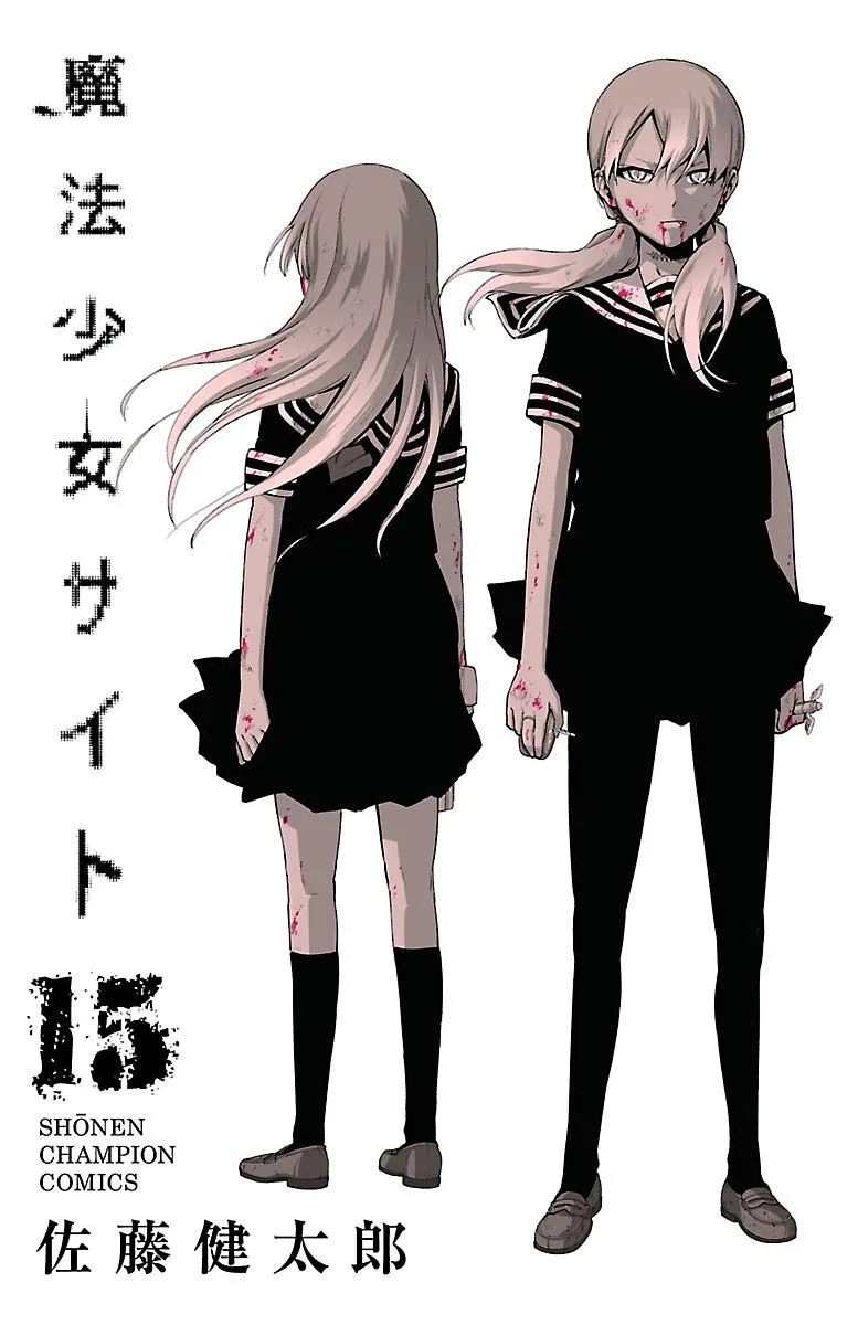 「魔法少女サイト (15)」表紙