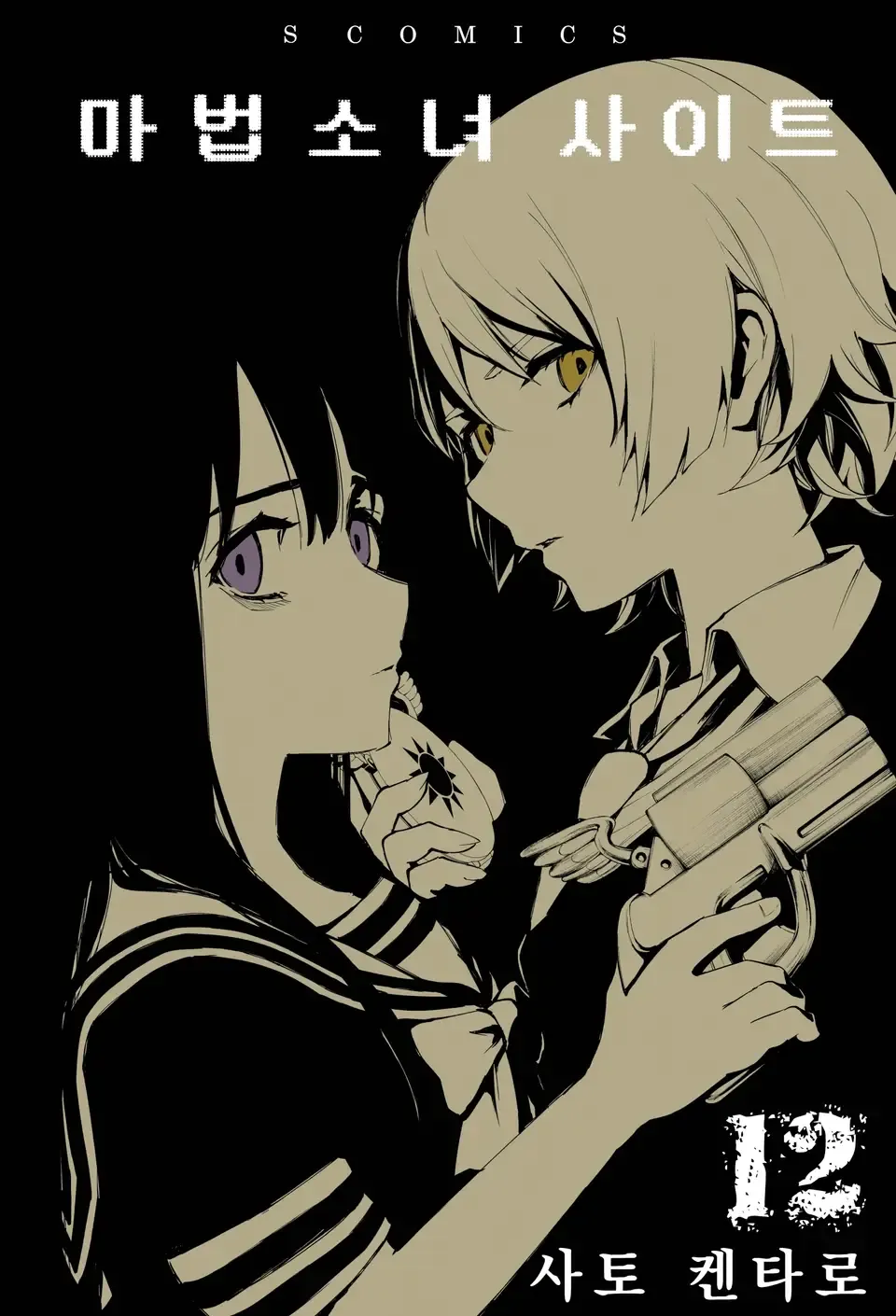 「魔法少女サイト (12)」表紙