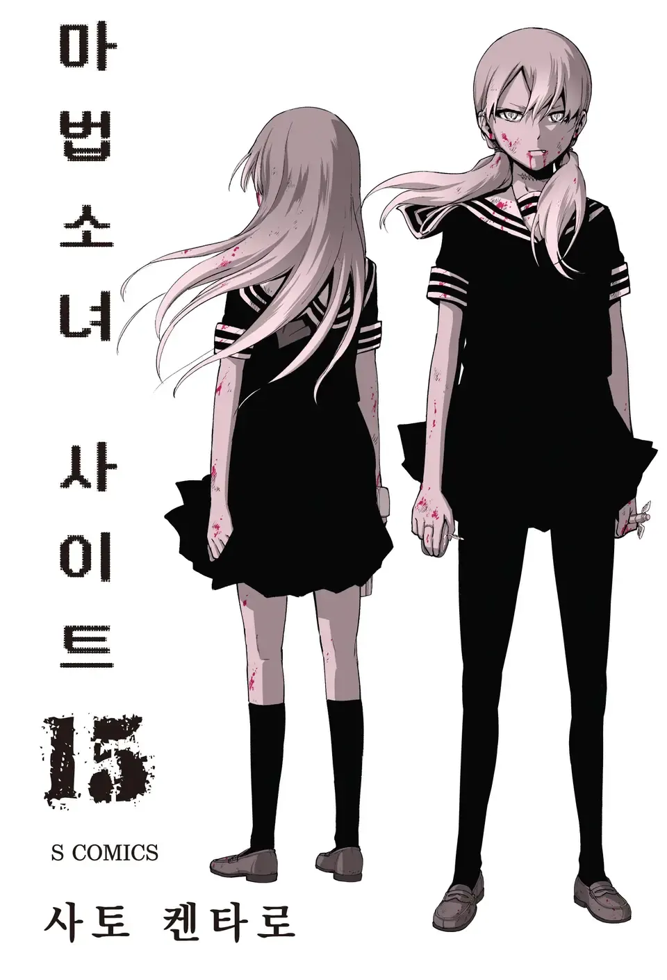 「魔法少女サイト (15)」表紙