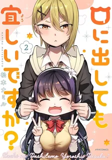 口に出しても宜しいですか、2巻表紙