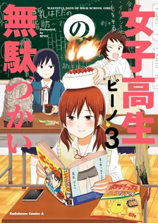 女子高生の無駄づかい、3巻表紙