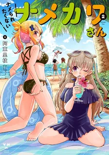 ナメられたくないナメカワさん、2巻表紙