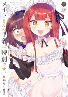 メイドさんの下着は特別です。、2巻表紙