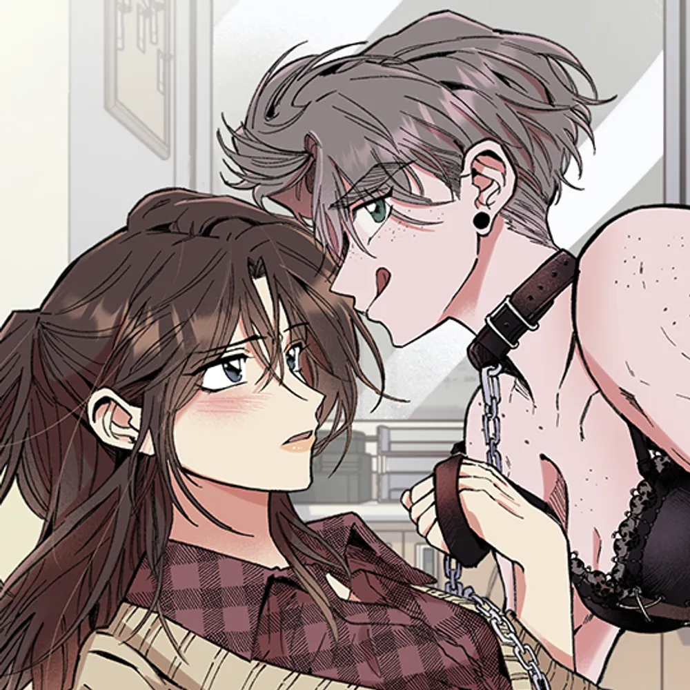 「All's Nice!」表紙