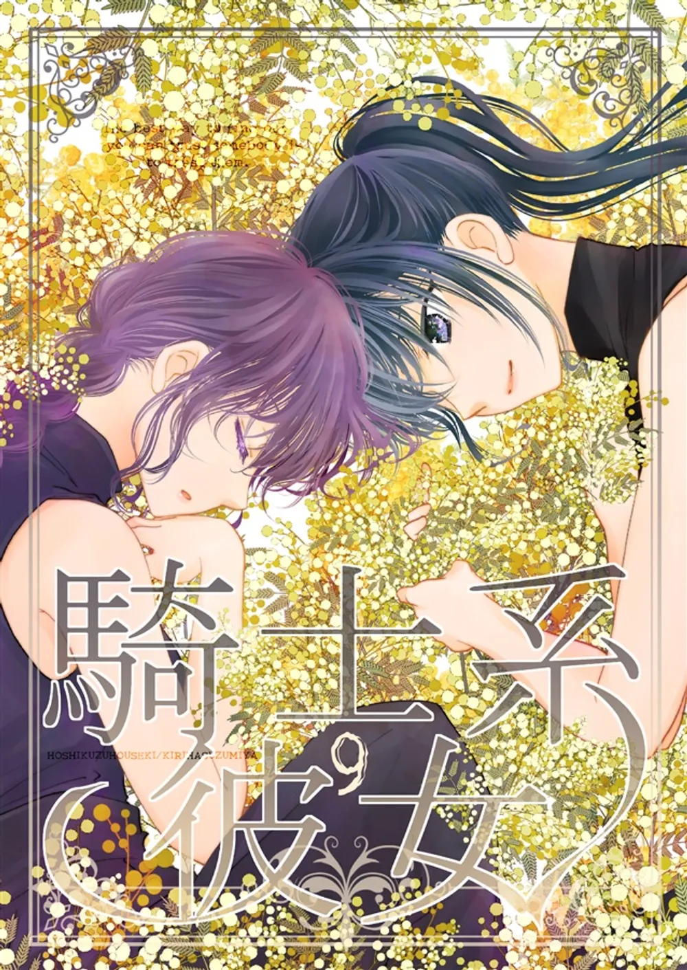 「騎士系彼女」表紙