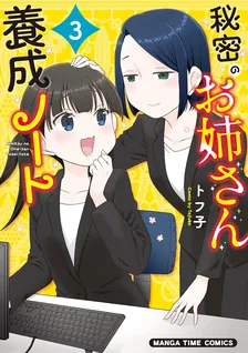 秘密のお姉さん養成ノート、3巻表紙