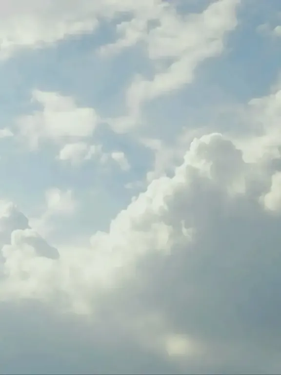 ロマンスファンタジーサブ男である私は男装女？