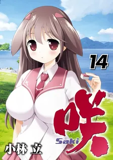 咲-Saki-、14巻表紙