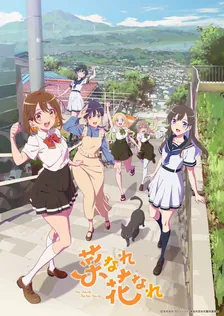 Main Visual