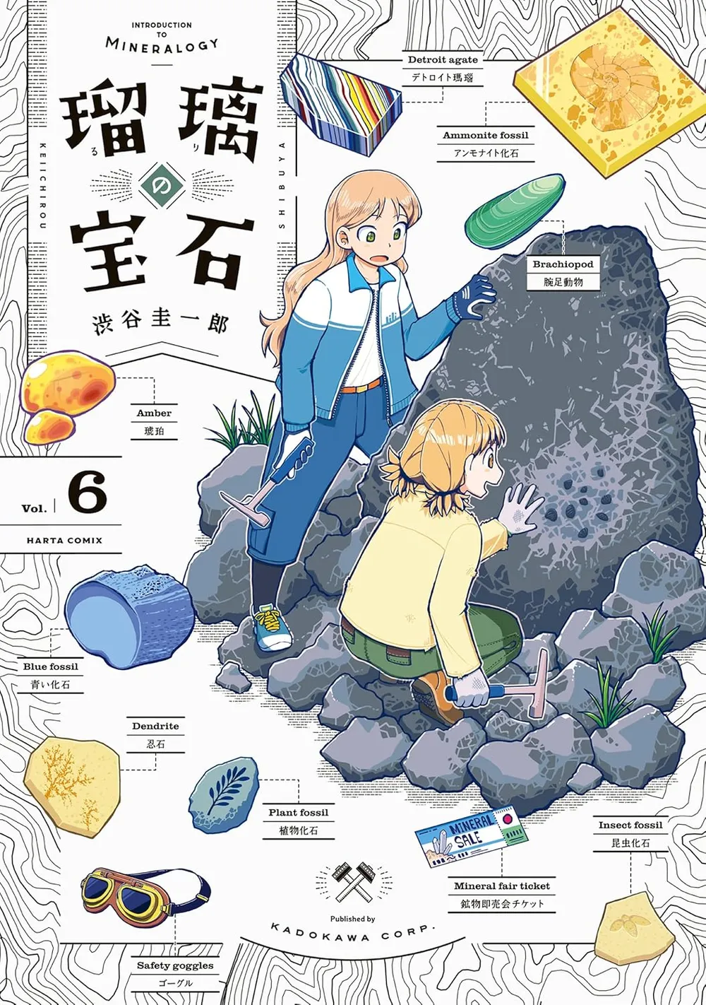 「瑠璃の宝石」表紙