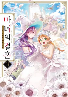 마녀의 결혼 3권 표지