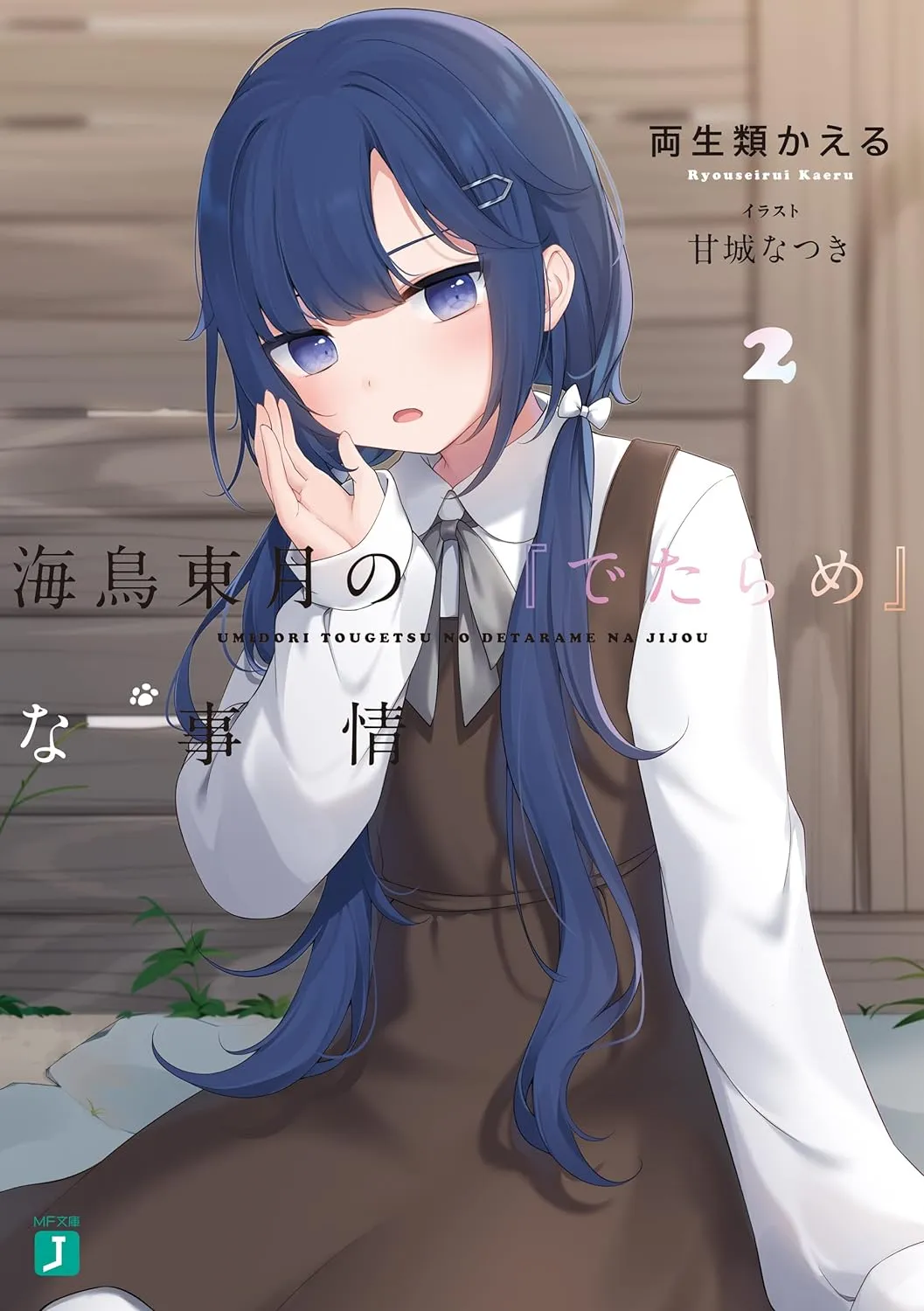 海鳥東月の『でたらめ』な事情、2巻表紙