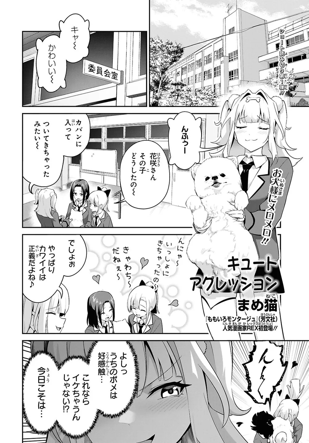 「キュートアグレッション」表紙