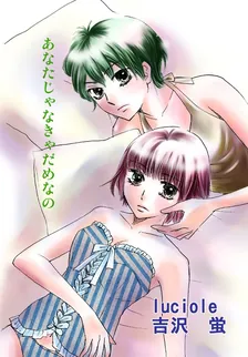 あなたじゃなきゃだめなの、2巻表紙