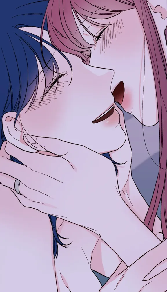 関係使用説明書