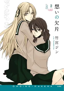 想いの欠片、2巻表紙
