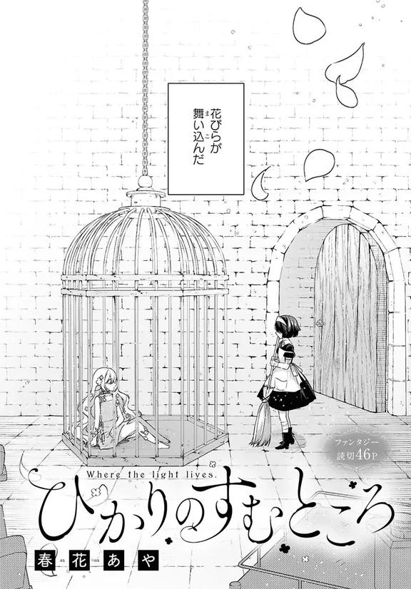 ひかりのすむところ