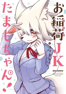 お稲荷JKたまもちゃん!、3巻表紙
