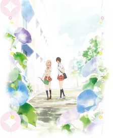 Main Visual