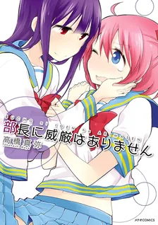 部長に威厳はありません、2巻表紙
