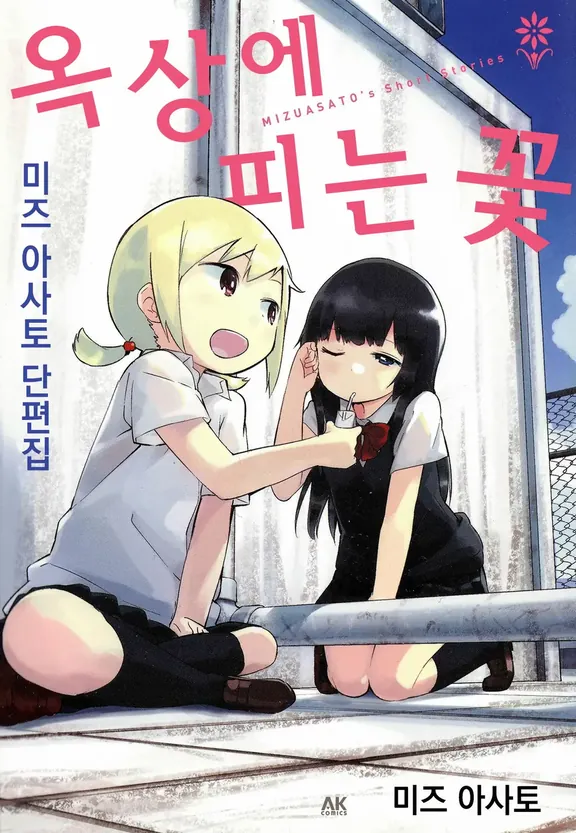 옥상에 피는 꽃