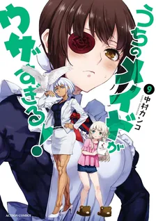 うちのメイドがウザすぎる!、9巻表紙