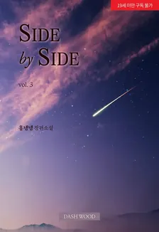 サイドバイサイド、3巻表紙