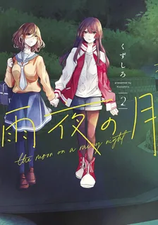 雨夜の月、2巻表紙