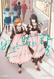 비 오는 밤의 달 (4) 7권 표지