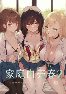 家庭内売春、2巻表紙