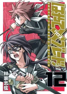 Hayate Cross Blade, Volume 12 Cover