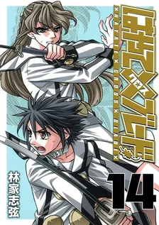 Hayate Cross Blade, Volume 14 Cover
