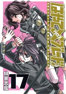 Hayate Cross Blade, Volume 17 Cover
