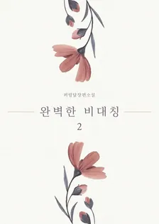 完璧な非対称、2巻表紙