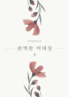 完璧な非対称、3巻表紙