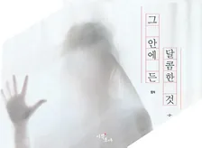 その中に入った甘いもの、1巻表紙