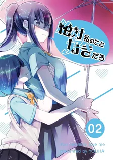絶対私のこと好きだろ、2巻表紙