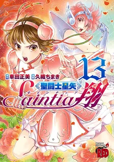 セインティア翔、13巻表紙